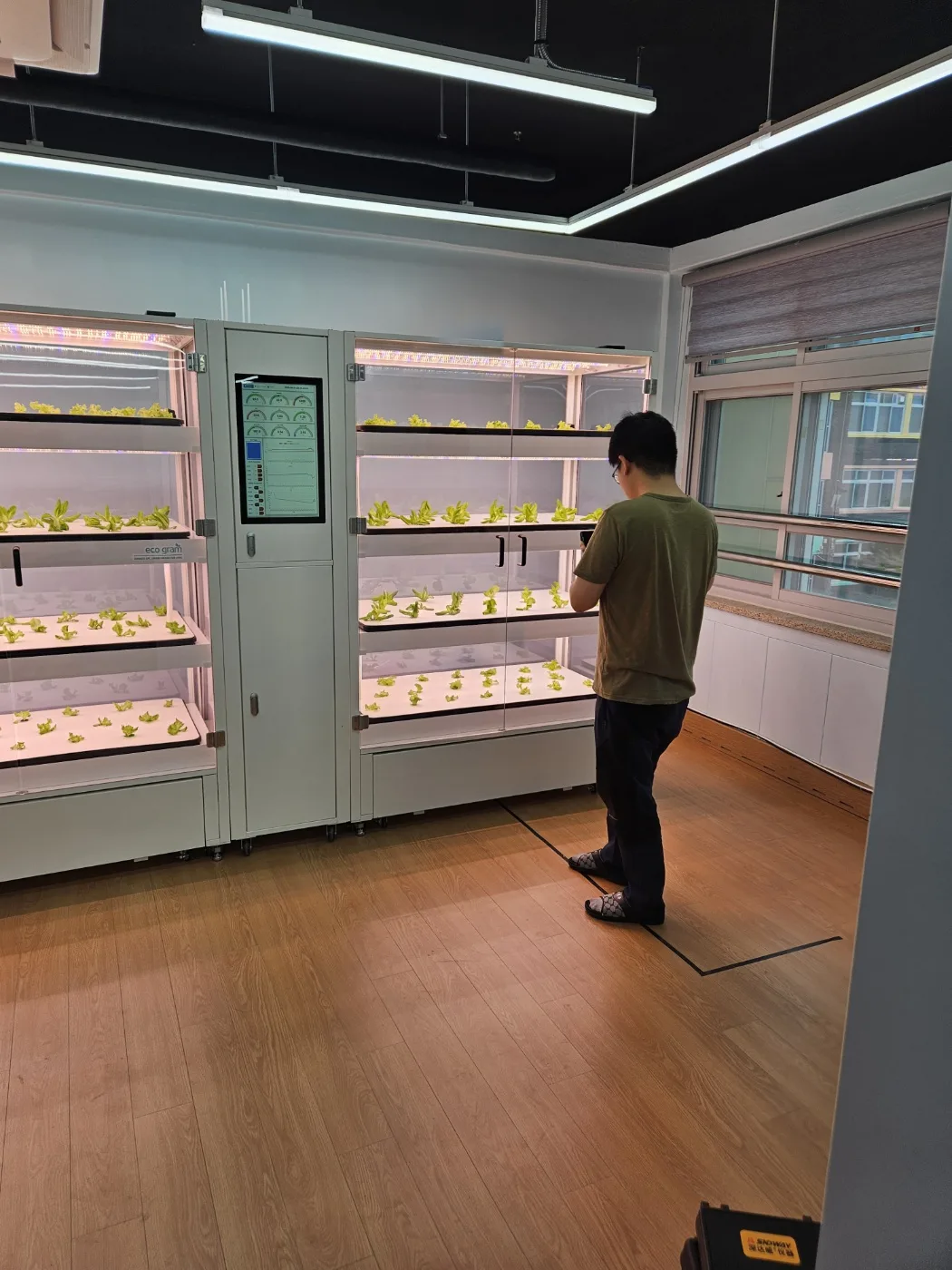 재배 캐비닛 앞에 선 담당자가 제어 터치스크린을 확인하고 있고 창밖으로 아파트 단지가 보이는 우드 톤 바닥의 포천스마트팜 시운전 점검 현장 모습