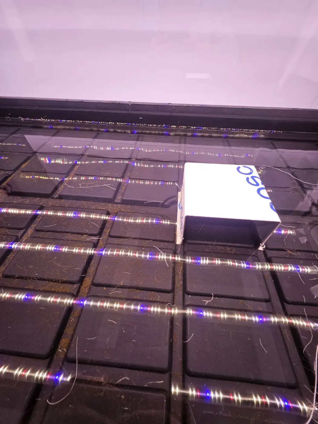 스마트팜 LED LED 바를 가까이에서 본 모습