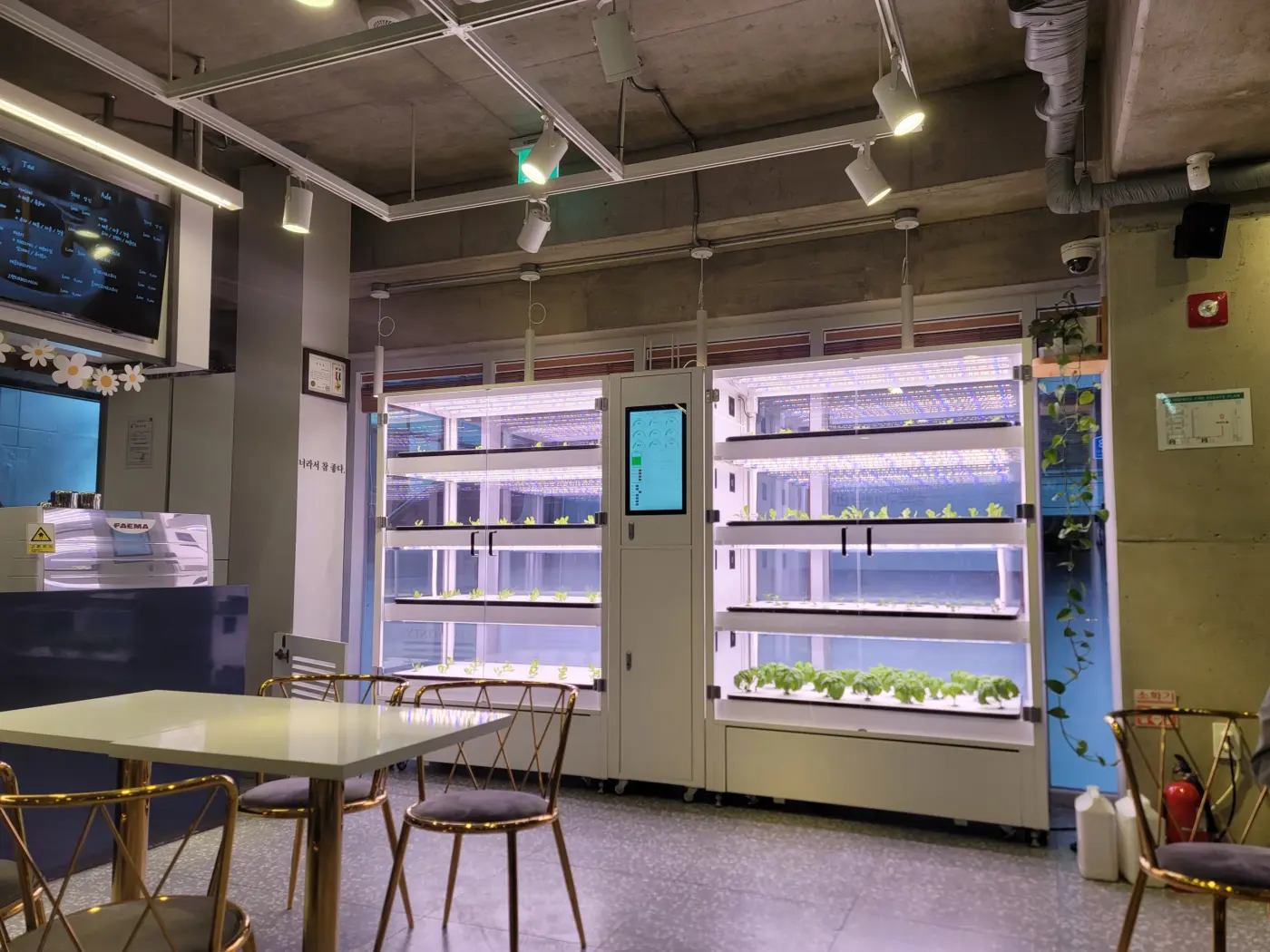 오산스마트팜 관련 시공 현장, 서울 장위청소년문화누림센터 카페 공간에 설치된 재배 랙