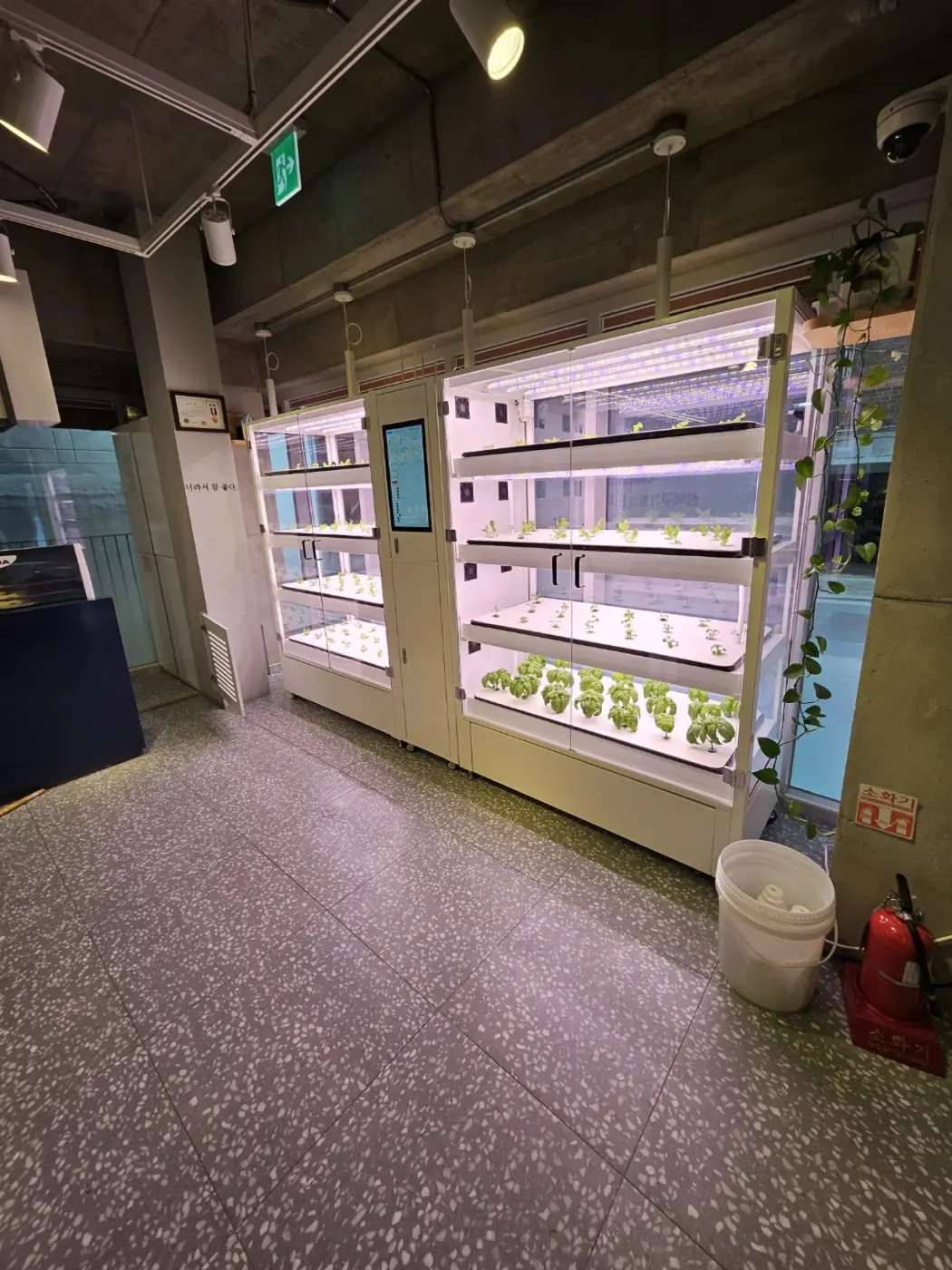 스마트팜 원격제어 바닥이 보이는 재배 랙 설치 모습