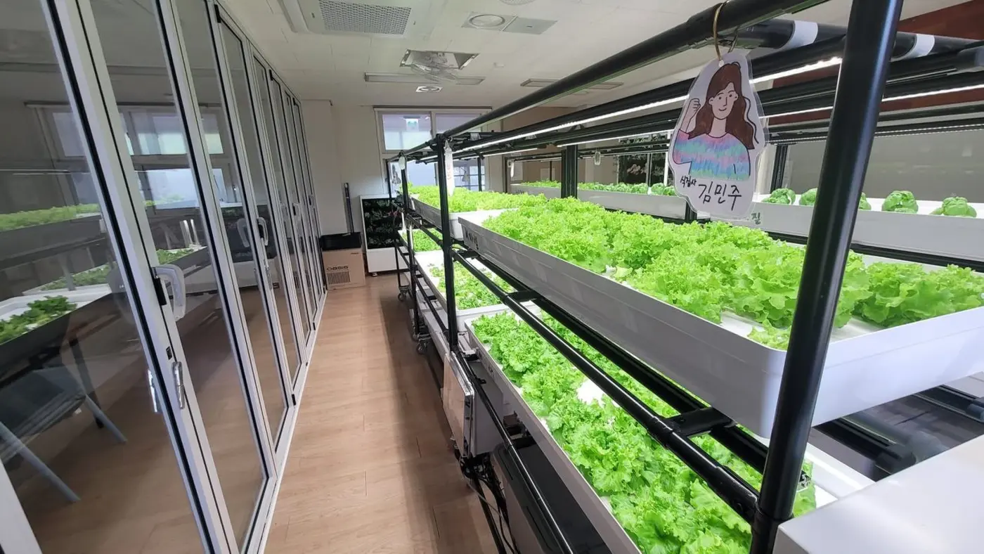 스마트팜 설치 유리 칸막이 옆으로 이어진 재배랙 통로