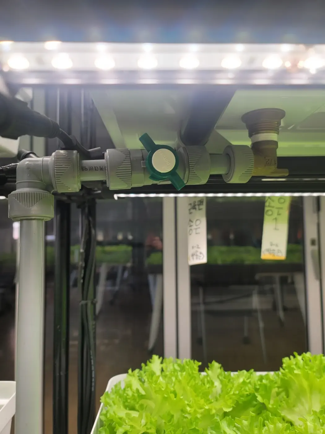 스마트팜 유지관리 인천세말 LED 바와 배관 하단 부분
