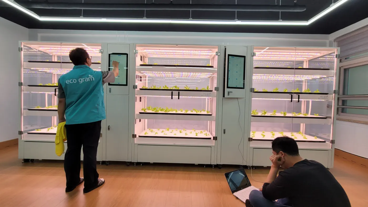 학교 스마트팜 설치 관련 시공 현장, 천안 성정초등학교 교실에 설치된 재배기 3세트
